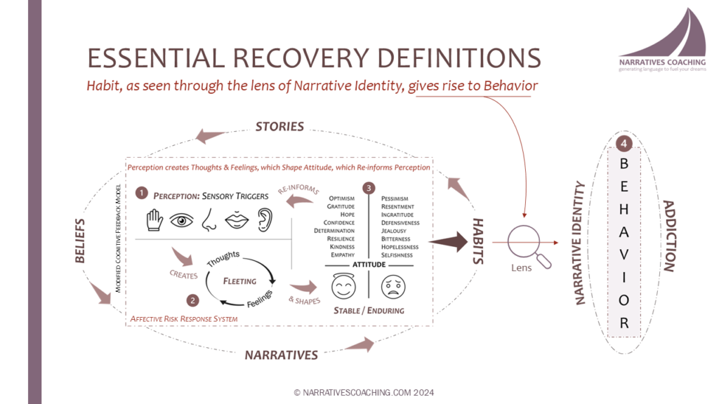 Affective-Narrative Addiction Model